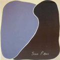 CDCOVER SOLOPIANO MM s